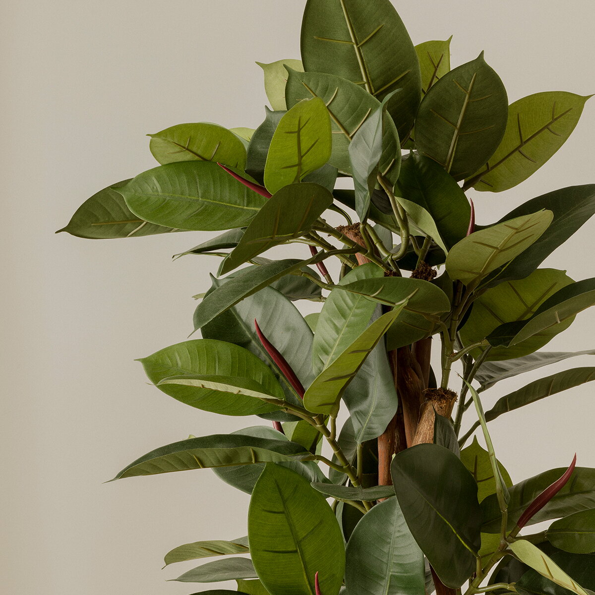 Ficus classic planta artificial 150 cm