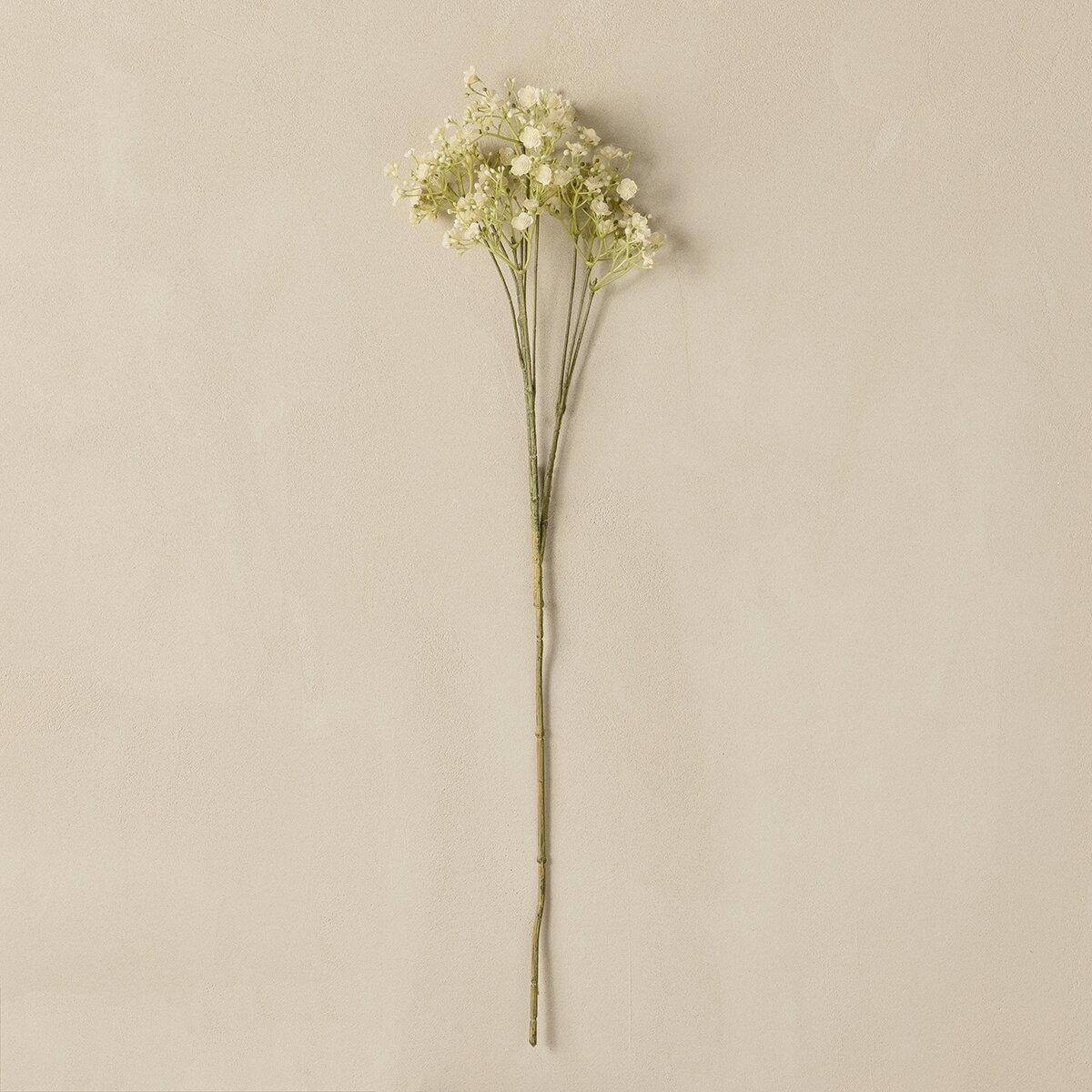 Paniculata flor branca