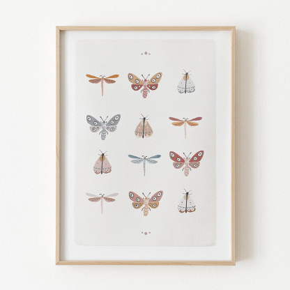 Mariposas
